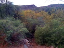 photo thumbnail #4