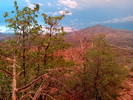 photo thumbnail #5