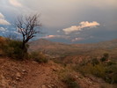 photo thumbnail #7