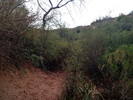 photo thumbnail #10