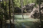photo thumbnail #2