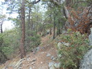 photo thumbnail #1