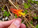 photo thumbnail #9