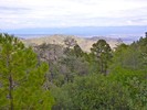 2018-08-16 :1: Green Mountain Trail #21 :: kingsnake