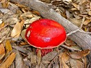 photo thumbnail #14