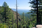 photo thumbnail #5