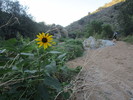 photo thumbnail #11