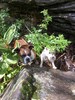 photo thumbnail #5