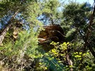 photo thumbnail #8