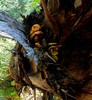 photo thumbnail #9