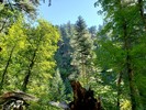 photo thumbnail #10
