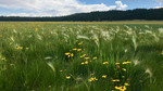 photo thumbnail #13