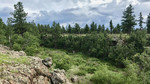 photo thumbnail #1