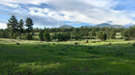 photo thumbnail #12
