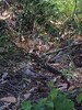 photo thumbnail #13