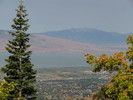 photo thumbnail #7