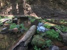 photo thumbnail #15