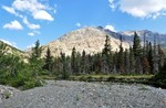 photo thumbnail #8