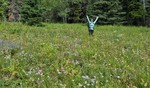 photo thumbnail #13