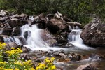 photo thumbnail #5
