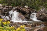 photo thumbnail #6