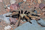photo thumbnail #2