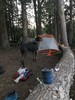 photo thumbnail #14