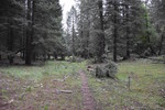photo thumbnail #4