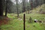photo thumbnail #12