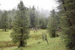 photo thumbnail #14
