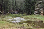 photo thumbnail #8