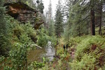 photo thumbnail #10