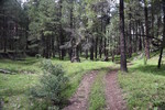 photo thumbnail #4