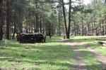 photo thumbnail #6