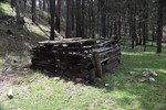 photo thumbnail #7