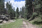 photo thumbnail #9