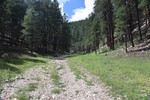 photo thumbnail #11
