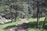 photo thumbnail #12