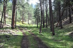 photo thumbnail #14