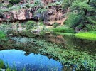 photo thumbnail #10