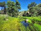 photo thumbnail #14