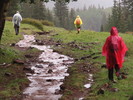 photo thumbnail #12