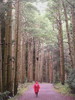 photo thumbnail #15