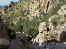 photo thumbnail #3