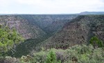 photo thumbnail #3