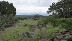 photo thumbnail #4