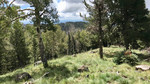 photo thumbnail #12