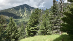 photo thumbnail #13
