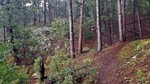 photo thumbnail #9
