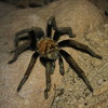 photo thumbnail #2
